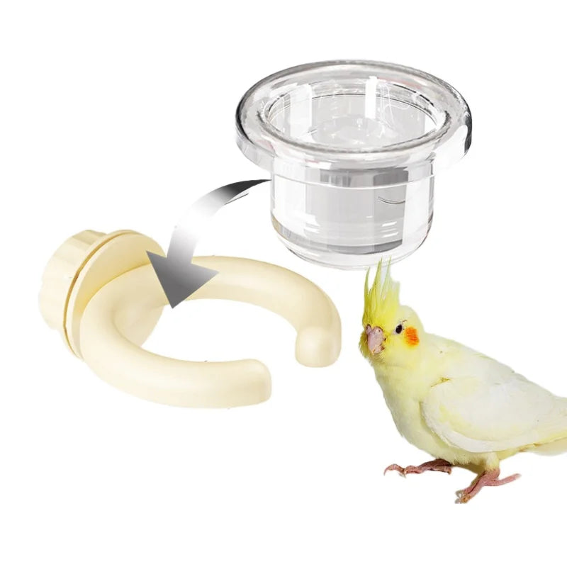 Transparent Bird Feeding Box with Detachable Hanging Design
