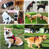 Harnais en nylon rembourré pour chien avec bandes réfléchissantes