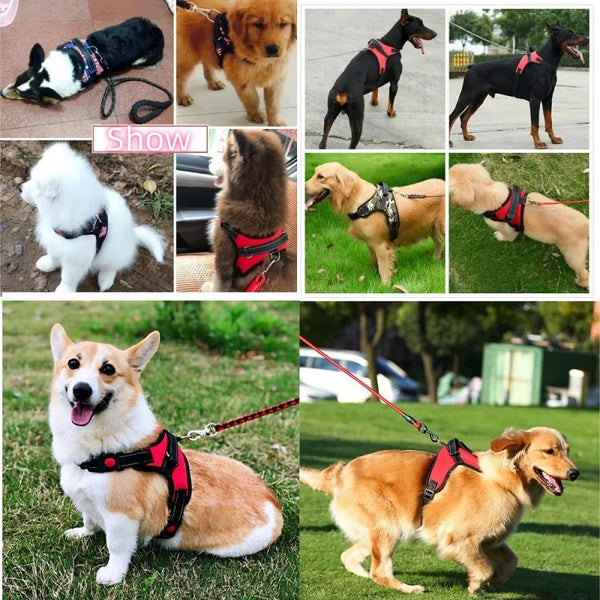 Durable Nylon Dog Harness Vest for Small to XL Dogs