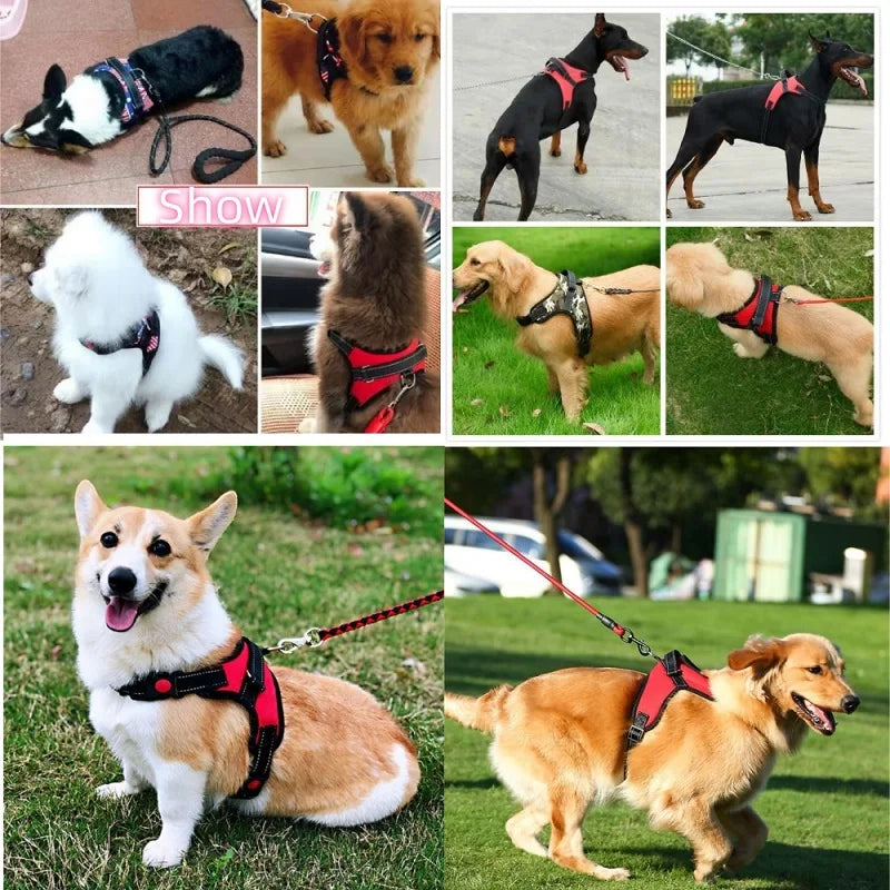 Harnais en nylon rembourré pour chien avec bandes réfléchissantes