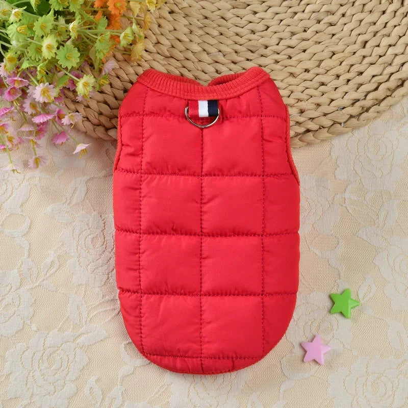 Un manteau de chien rouge vif et rembourré avec un collier est exposé sur une surface beige à côté de fleurs séchées.