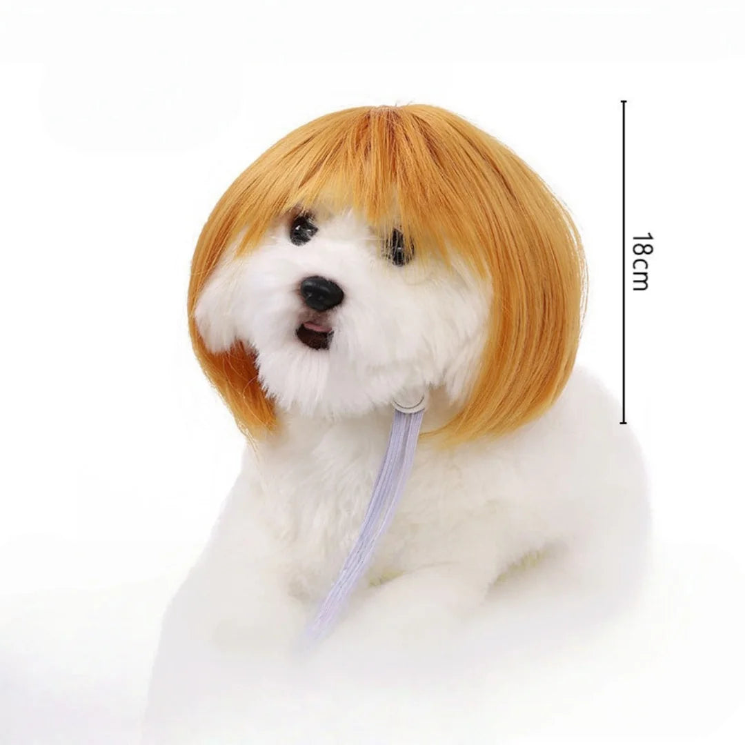 Pet Bob Wig – Funny Cat & Dog Costume Accessory