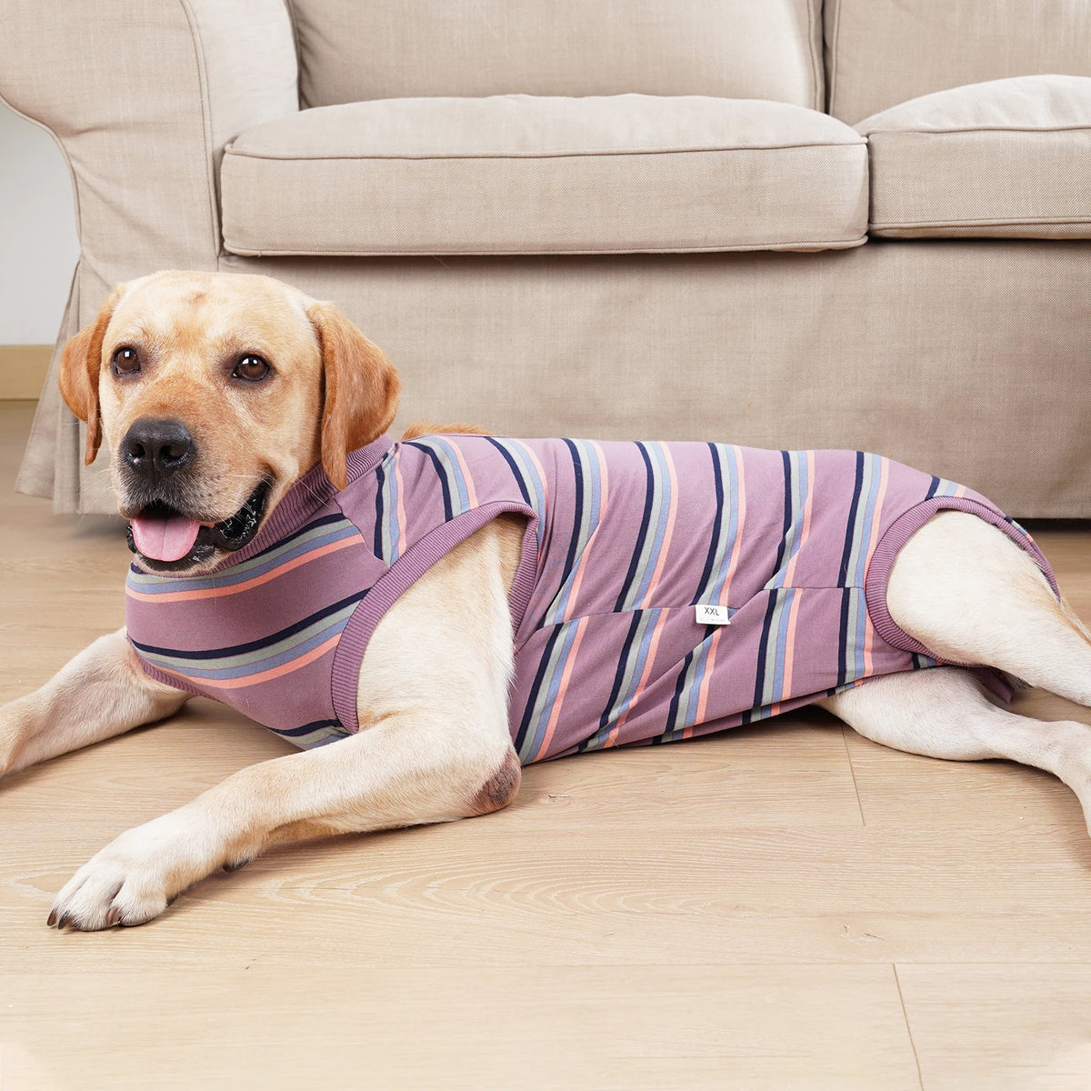 Breathable Dog Recovery Suit for Post-Surgery Protection