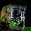 Acrylic Fish Breeding Isolation Box with Double Compartments
