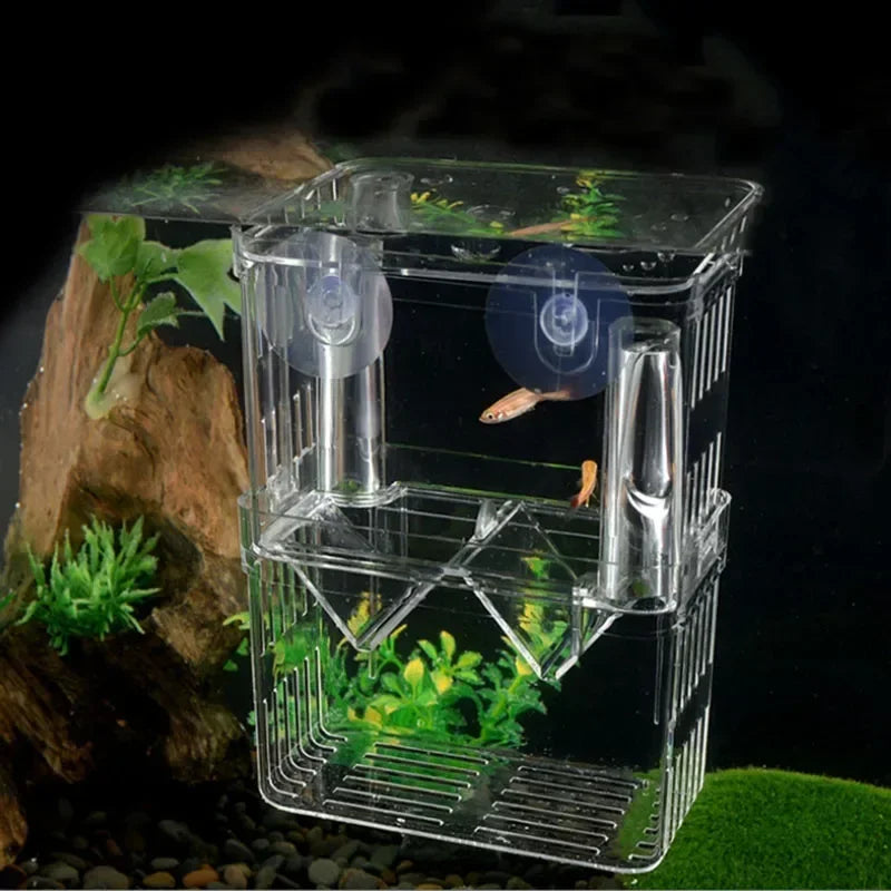 Acrylic Fish Breeding Isolation Box with Double Compartments