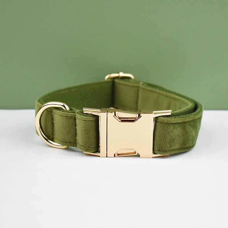 Olive green velvet adjustable dog collar and matching leash set with a gold bow tie buckle