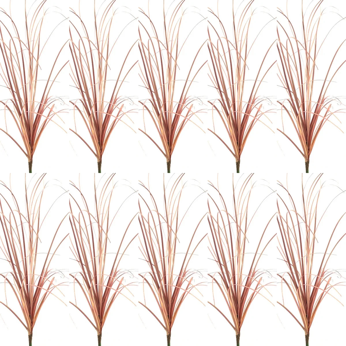 Dried ornamental grass decoration in shades of brown and pink.