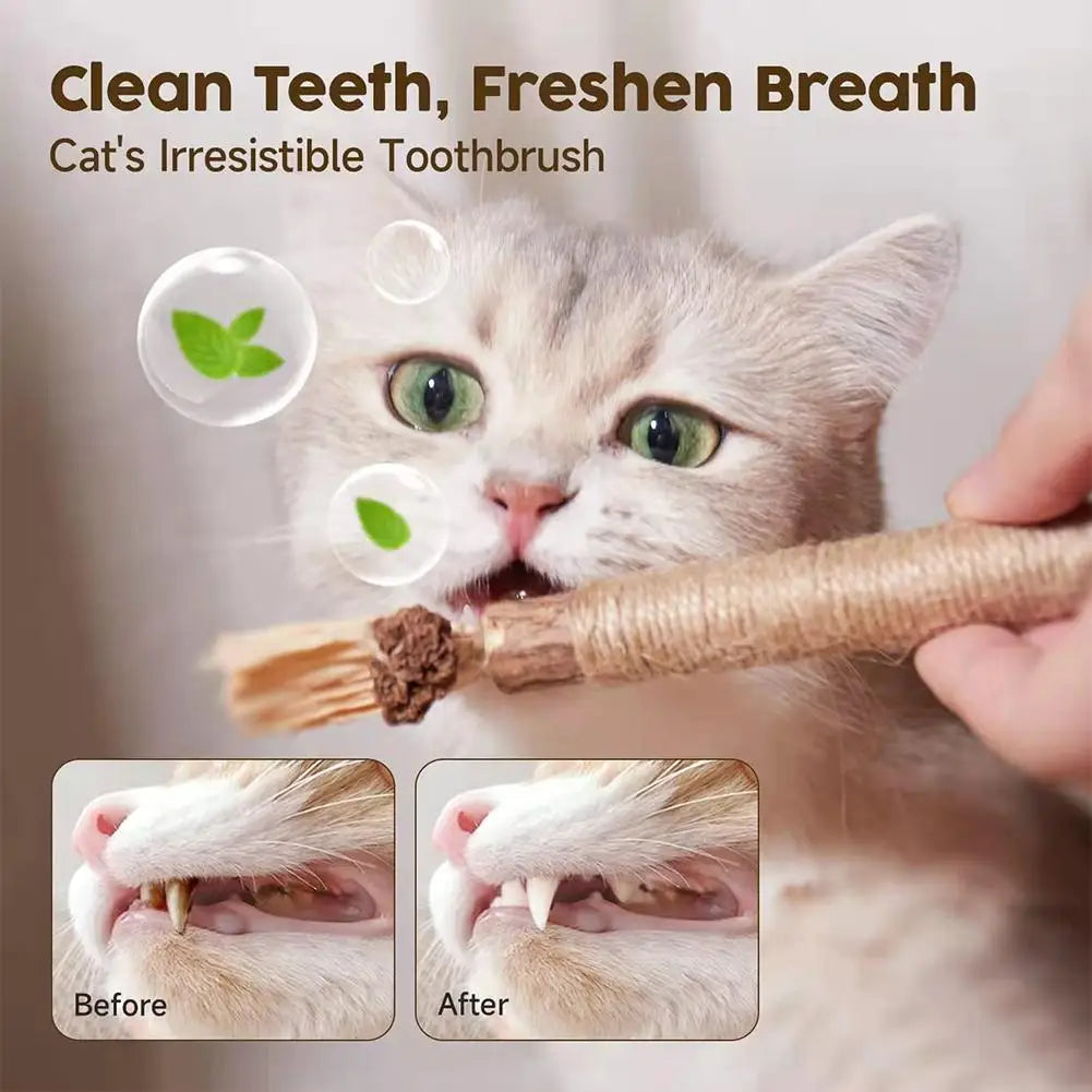 Cat Dental Care Chew Stick with Silver Vine