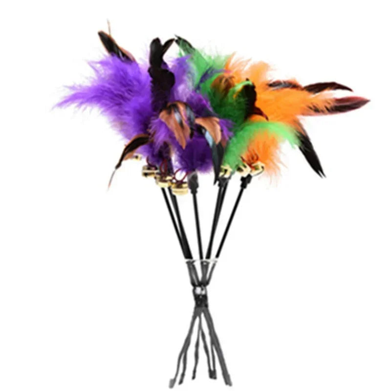 Interactive feather wand cat toy featuring colorful feathers in purple, black, green, and orange.
