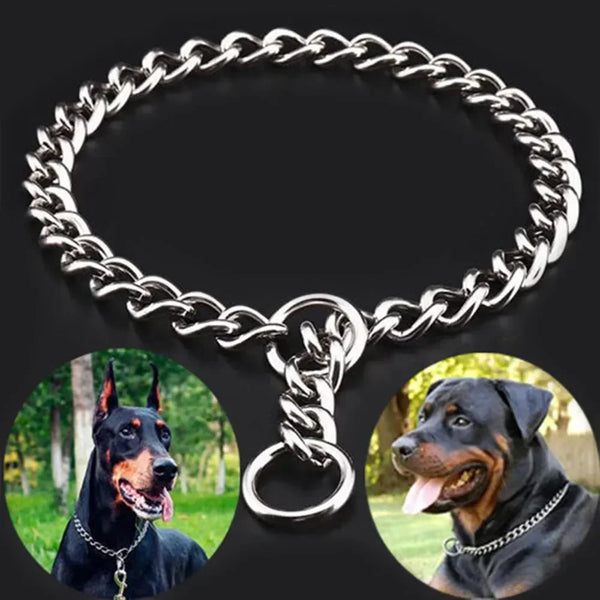 Collier en acier inoxydable à chaîne coulissante pour chien