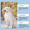 Kit de soins dentaires pour chiens et chats