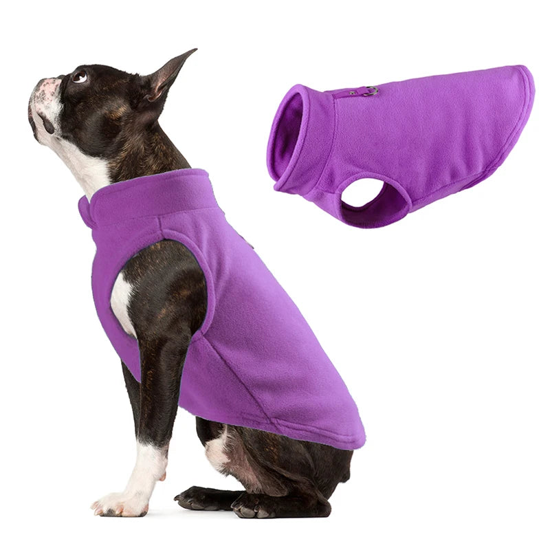 A black and white dog wearing a purple fleece vest with a built-in harness ring.