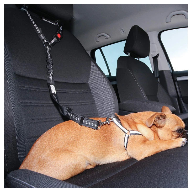 Two-in-One Pet Harness and Car Safety Belt with Reflective Leash