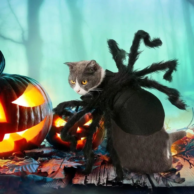 Halloween Spider Costume for Small Dogs and Cats