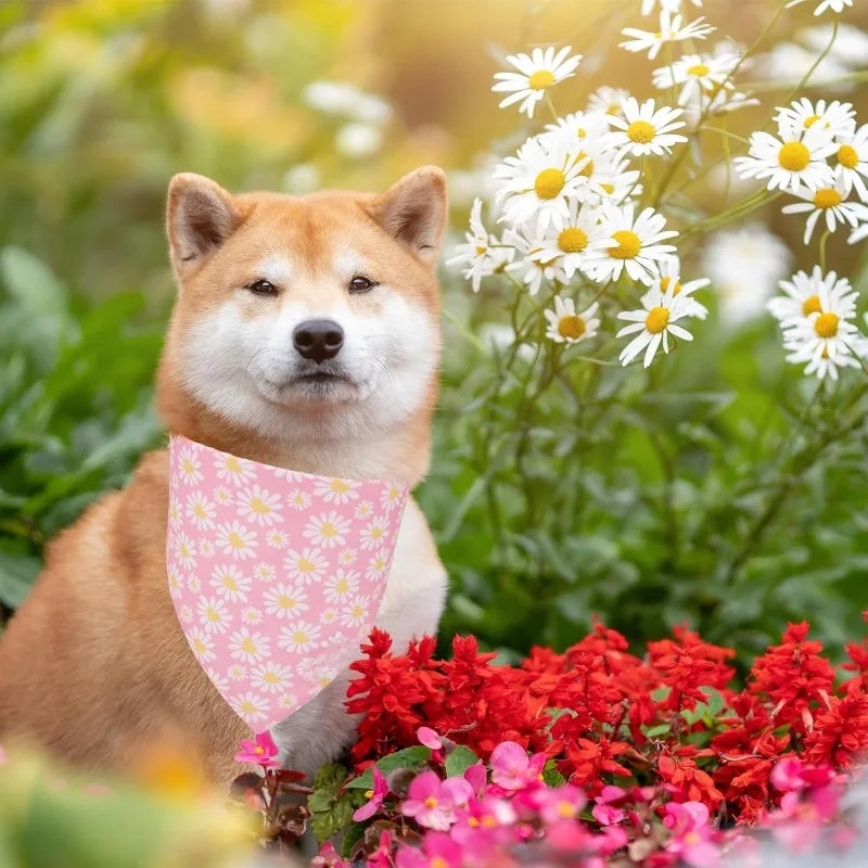Floral Daisy Print Triangle Dog Bandana – Washable Pet Scarf
