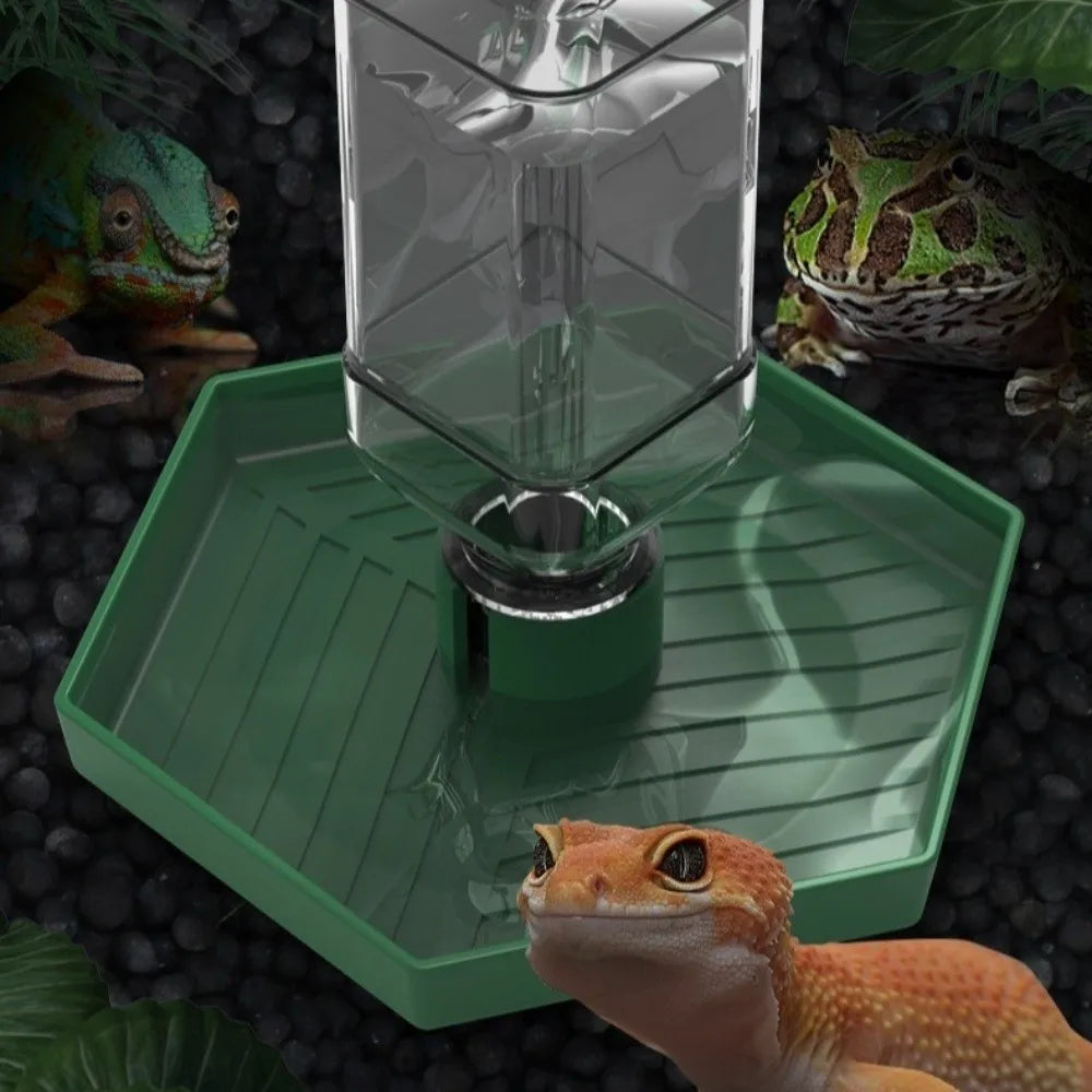 Ein durchsichtiger Glas-Wasserdispenser-Schale auf einem grünen Tablett, umgeben von verschiedenen Reptilien.