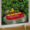 Refillable Hummingbird Feeder with Window Suction Cups
