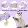 A white cat wearing a purple and white flower-decorated adjustable dog collar.