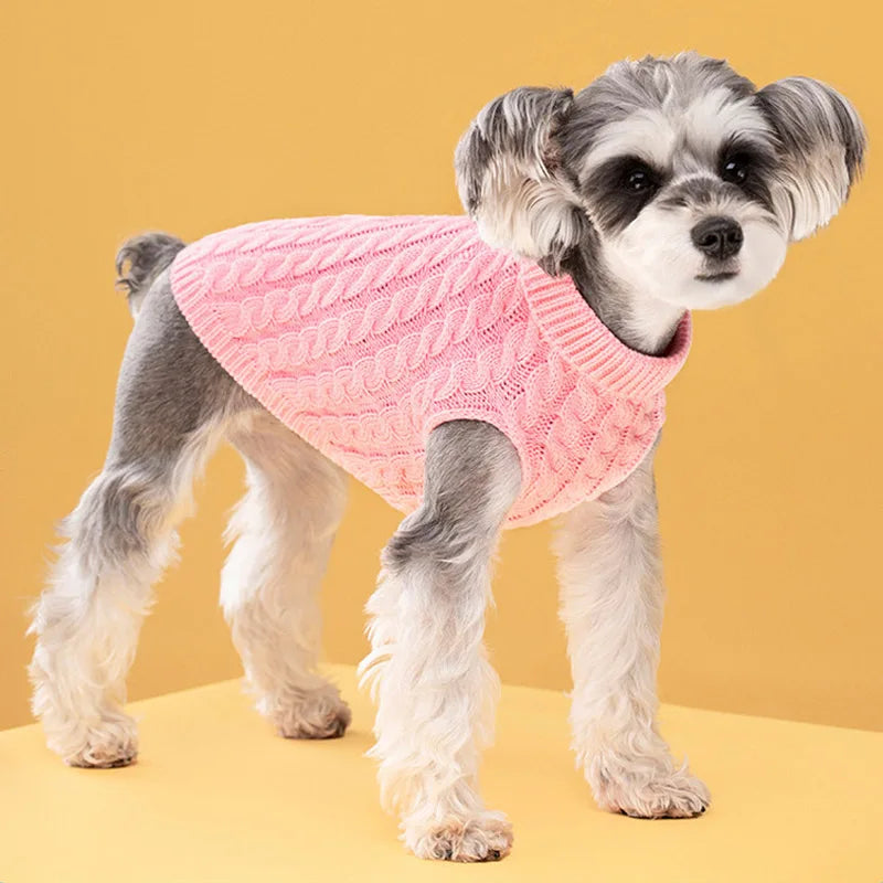 A small, fluffy dog is wearing a pink knitted turtleneck sweater.