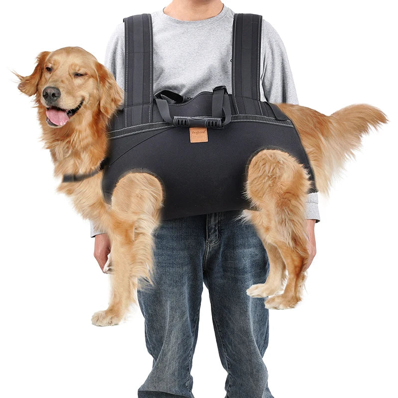 Ein Golden Retriever trägt einen schwarzen Hundetransporterrucksack und wird von einer Person gehalten.
