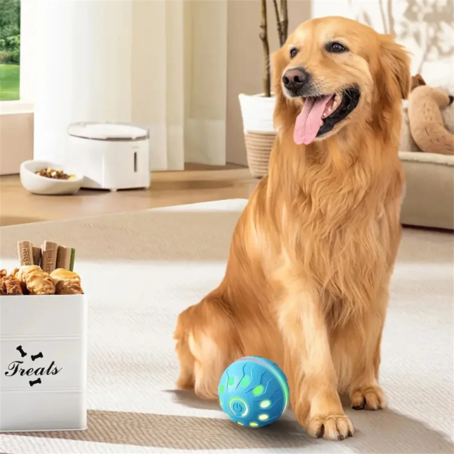 A happy golden retriever sits on a rug next to an interactive self-moving pet ball.