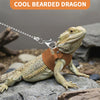 Ein cooler Bartdrache mit Kette und Geschirr auf einem Felsen.