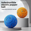 Interactive Automatic Rolling Dog Ball with Motion Activation