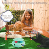 Jouet Interactif Automatique pour Chat avec Clochette