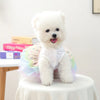 A fluffy white puppy wearing an elegant birthday suit with colorful fabric on a white pedestal.