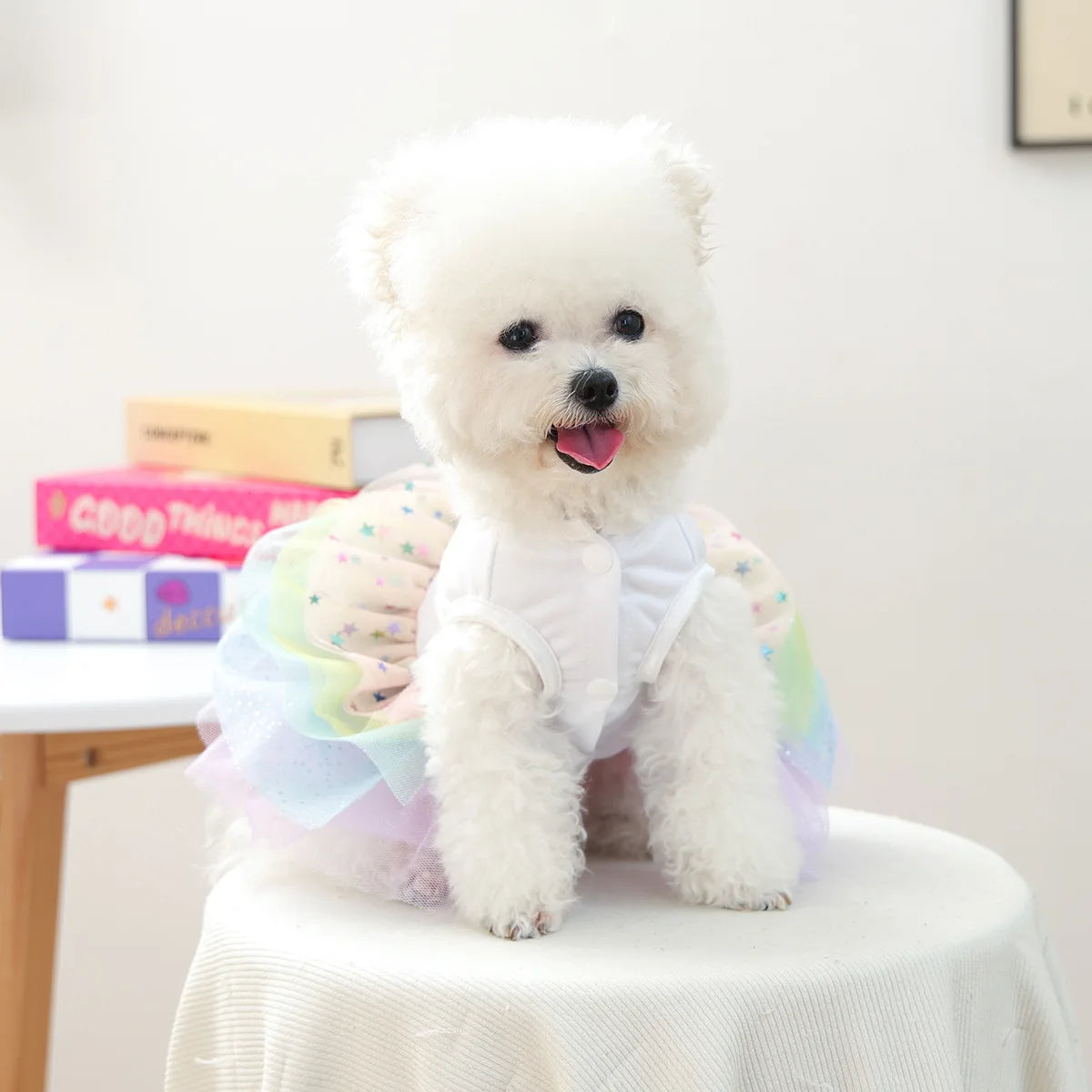 A fluffy white puppy wearing an elegant birthday suit with colorful fabric on a white pedestal.