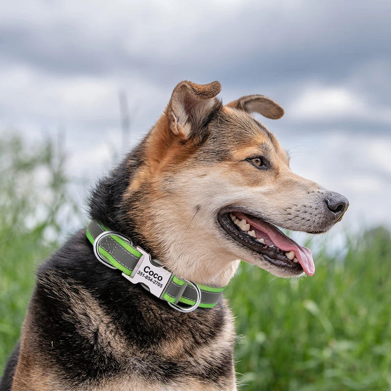 Reflektierendes personalisiertes Hundehalsband mit graviertem Anhänger