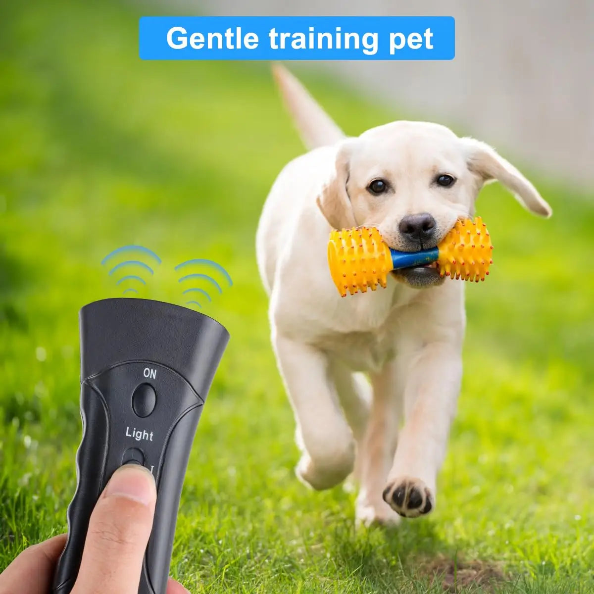A dog is being trained with an ultrasonic device while running in green grass.