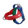 Arnés para perro con correas rojas y azules y hebilla gris.