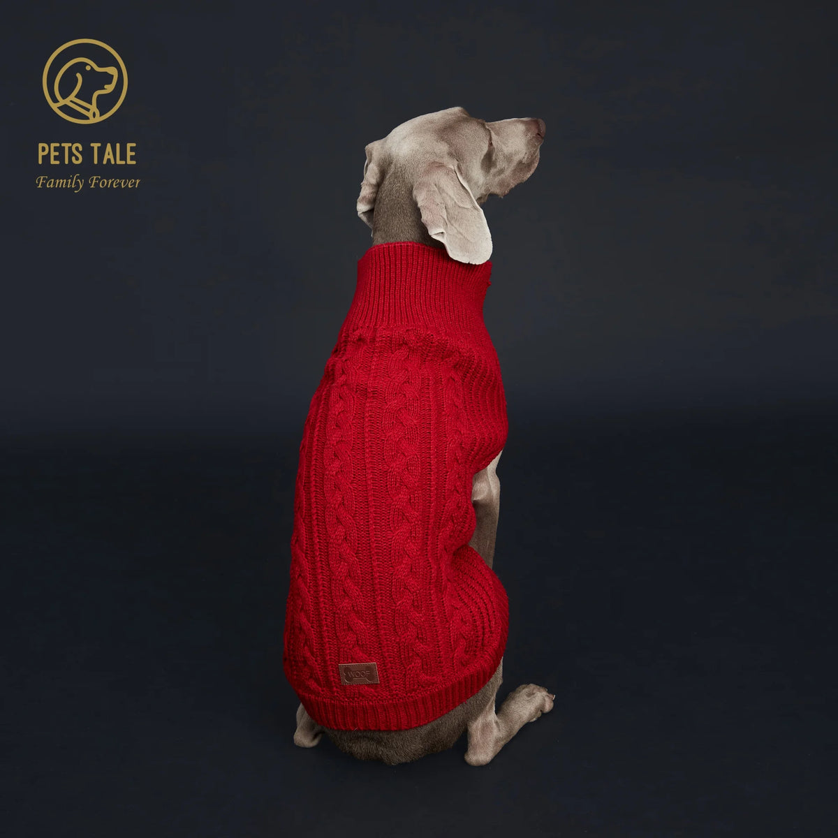 A light-colored dog is wearing a bright red knitted sweater.
