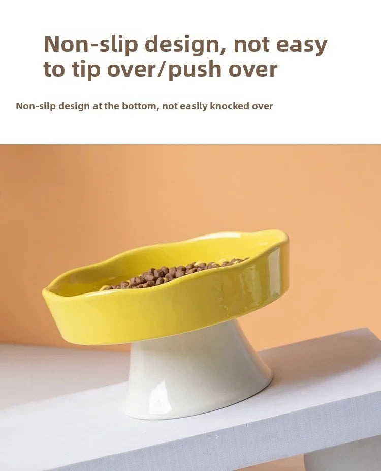 Ceramic Elevated Cat Bowl with Slow Feeder Design