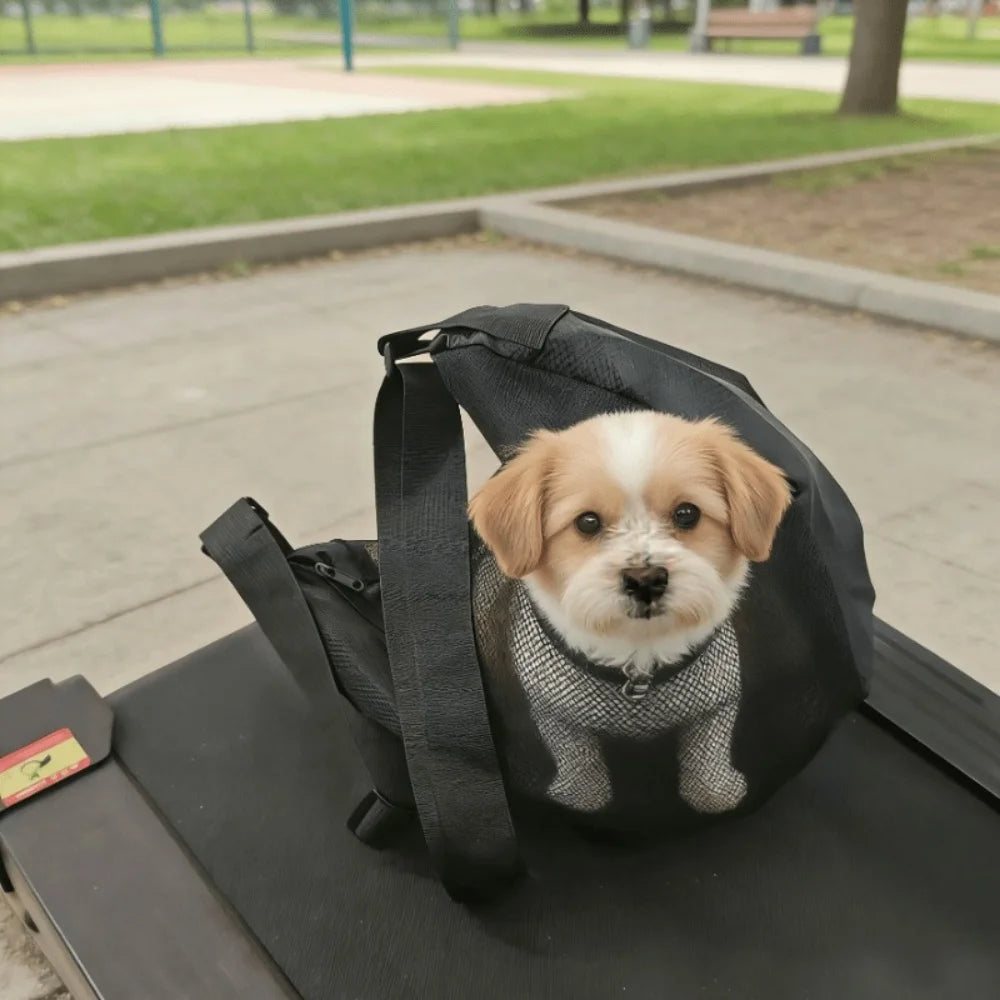A small, light brown dog is visible inside a black breathable pet carrier sling placed on a dark surface.