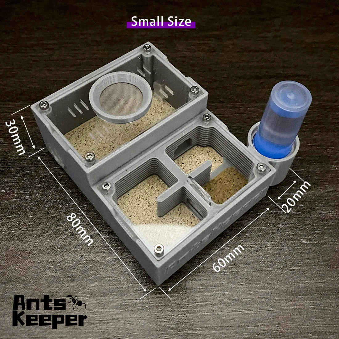 A small, square plastic observation farm with four chambers and a blue tube for ants keeper
