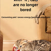 Interactive Automatic Rolling Cat Toy with Tail
