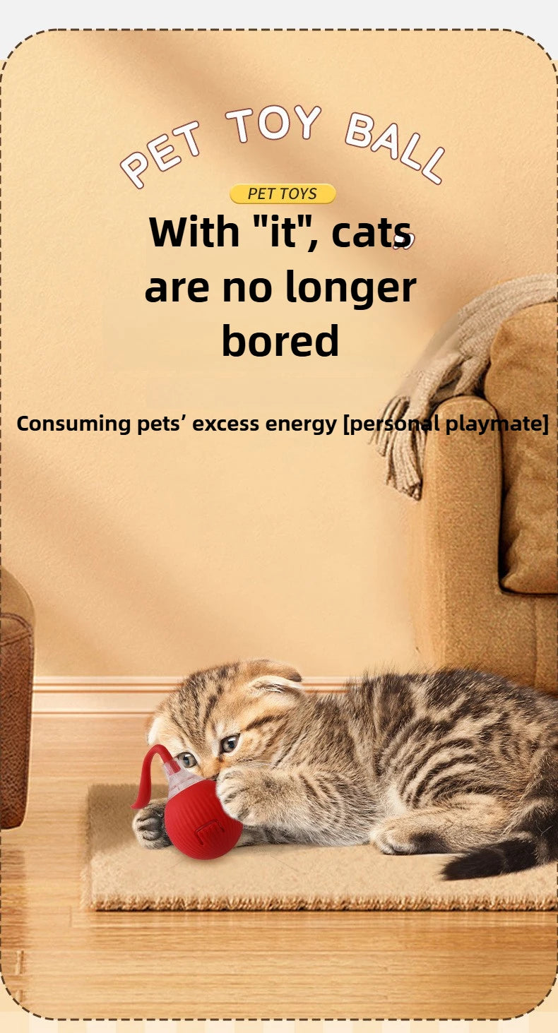 Interactive Automatic Rolling Cat Toy with Tail