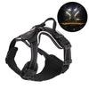 Rechargeable LED Dog Harness with Reflective Strips