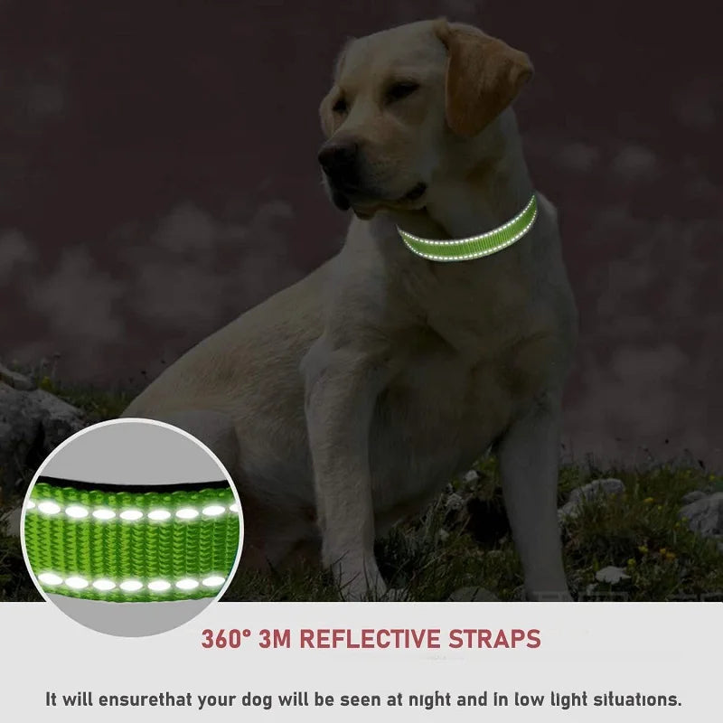 Decorative Nylon Dog Collar with Buckle Closure