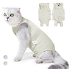 A light green professional cat recovery suit worn by a domestic cat.