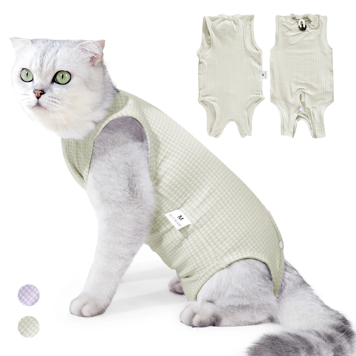A light green professional cat recovery suit worn by a domestic cat.