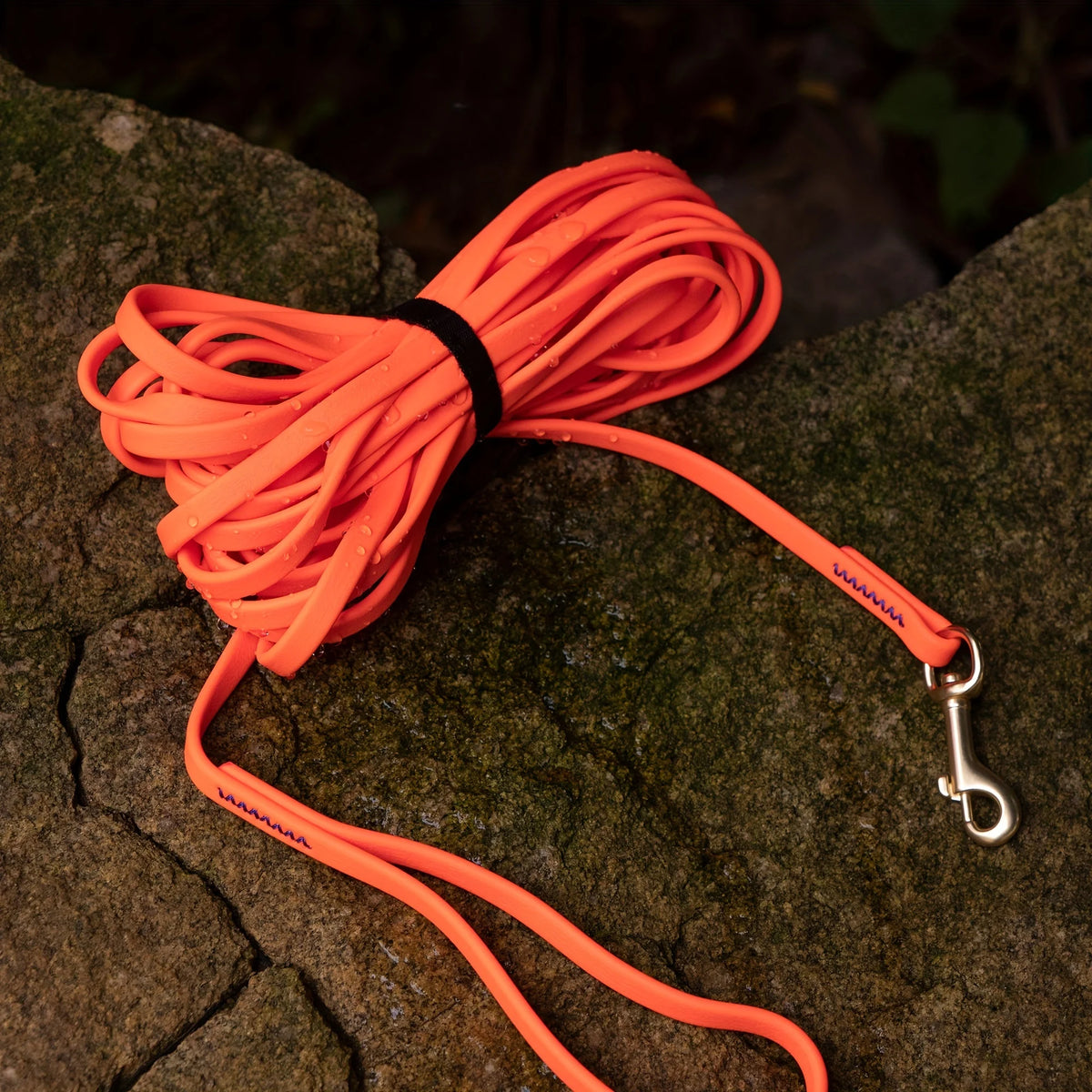 Heavy-Duty Waterproof Dog Leash with Hands-Free Comfort Grip