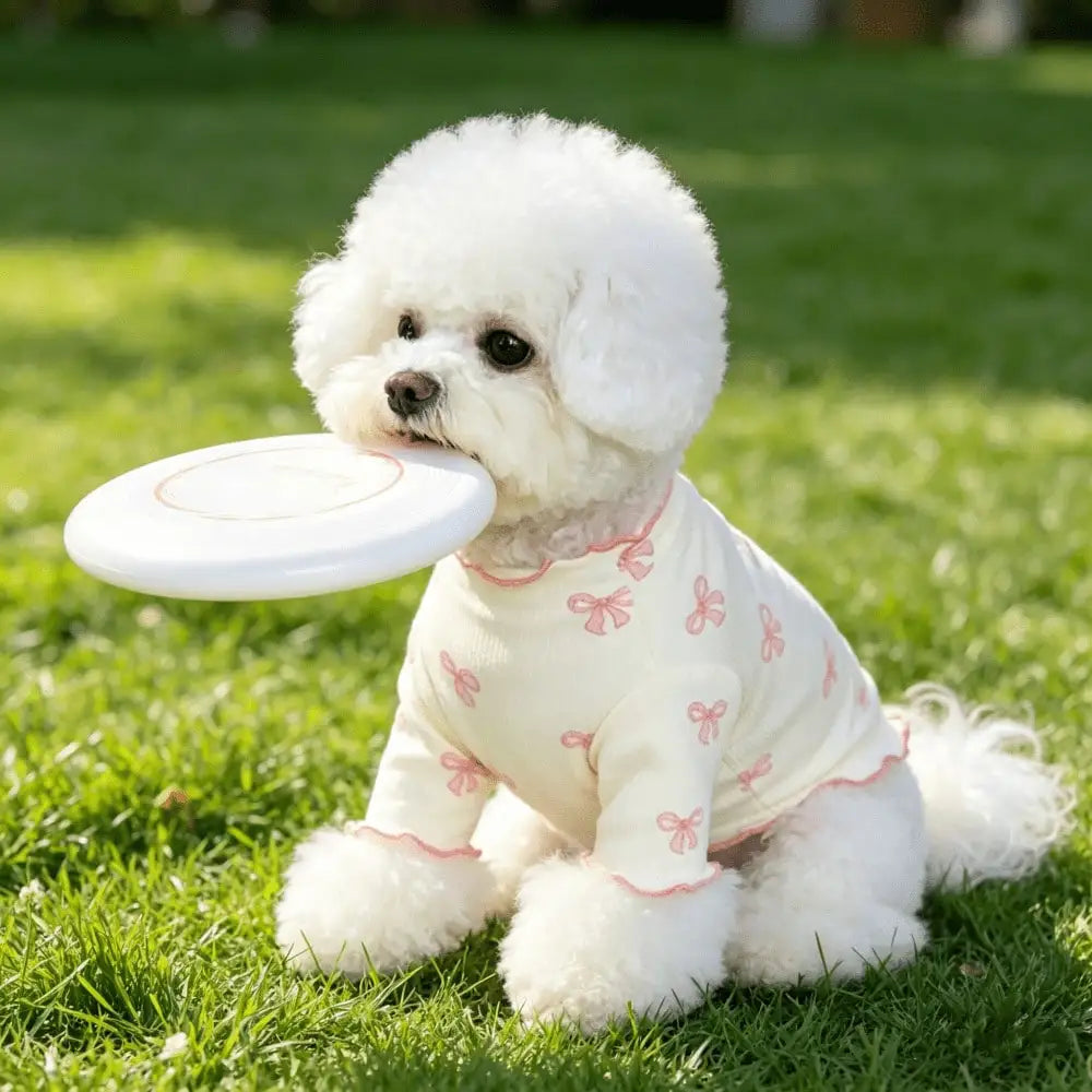 Un chien blanc et duveteux portant un pull tricoté rose pâle avec un nœud papillon, assis sur de l'herbe verte.