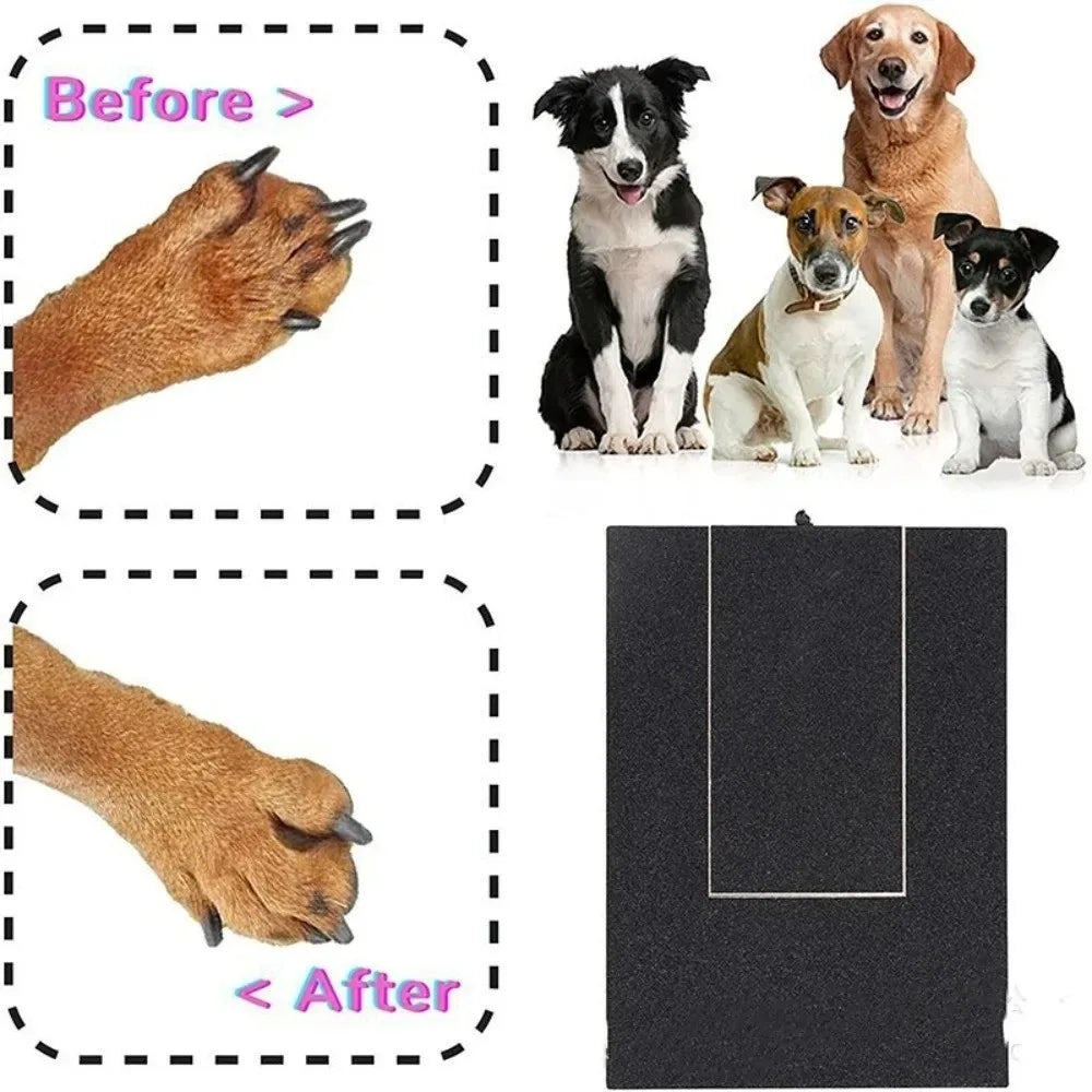 Wooden Dog Nail Scratching Board with Built-in Treat Box