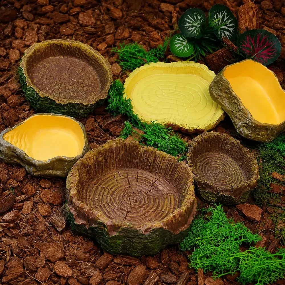 Natural Tree Stump Reptile Feeding and Water Bowl