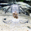 Trampa para Caracoles de Acuario - Control de Plagas Sin Químicos