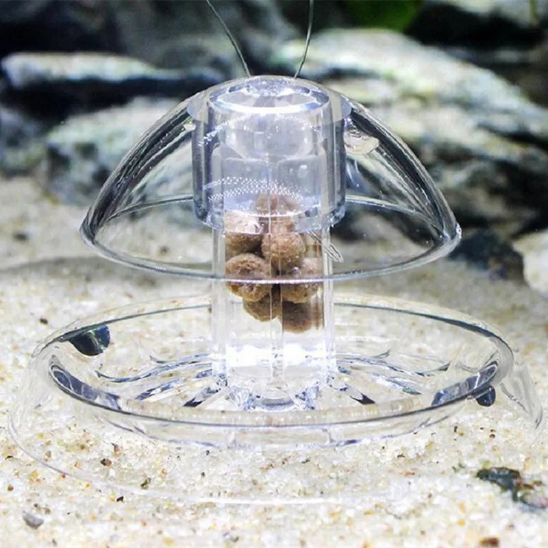 Trampa para Caracoles de Acuario - Control de Plagas Sin Químicos