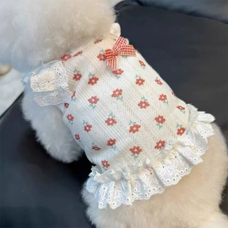 White floral print pet vest with pink accents and lace trim worn by a fluffy animal.